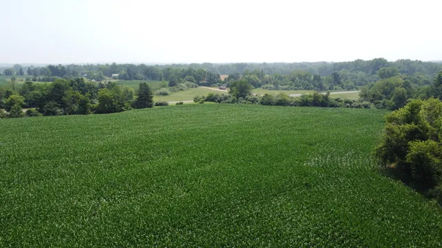 $799,900 | 20664 Allen Road, Manchester, MI 48158