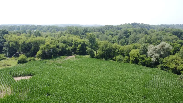 $799,900 | 20664 Allen Road, Manchester, MI 48158