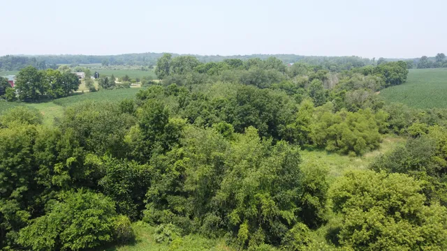 $799,900 | 20664 Allen Road, Manchester, MI 48158