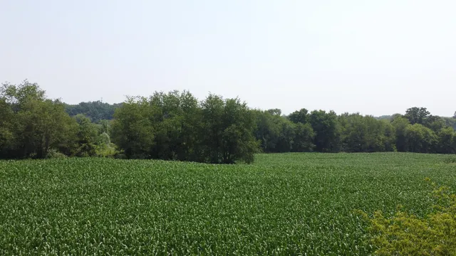 $799,900 | 20664 Allen Road, Manchester, MI 48158