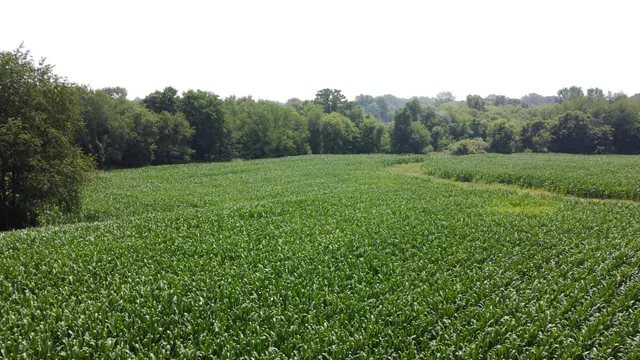 $799,900 | 20664 Allen Road, Manchester, MI 48158