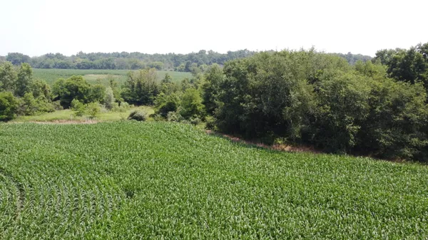 $649,000 | 20664 Allen Road, Manchester, MI 48158