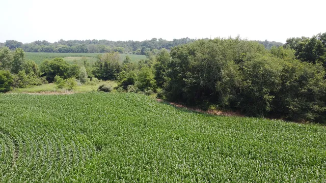 $799,900 | 20664 Allen Road, Manchester, MI 48158