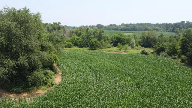 $799,900 | 20664 Allen Road, Manchester, MI 48158