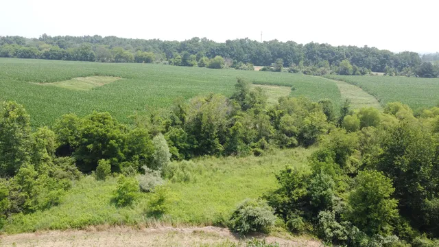 $799,900 | 20664 Allen Road, Manchester, MI 48158