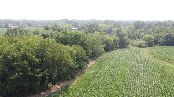 $649,000 | 20664 Allen Road, Manchester, MI 48158