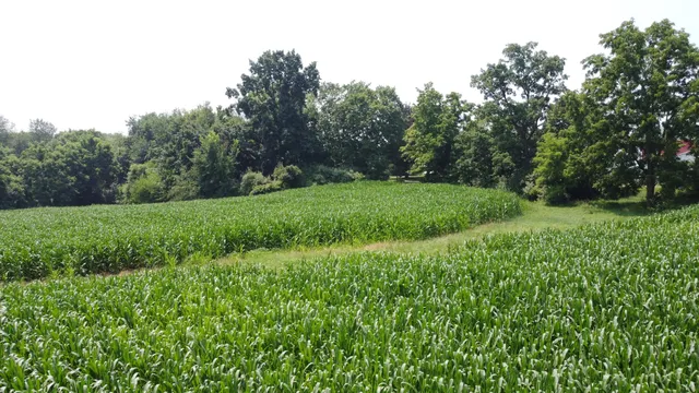 $799,900 | 20664 Allen Road, Manchester, MI 48158