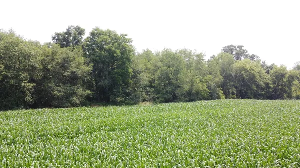 $649,000 | 20664 Allen Road, Manchester, MI 48158