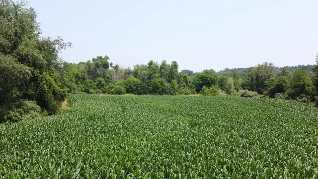 $799,900 | 20664 Allen Road, Manchester, MI 48158