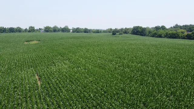 $799,900 | 20664 Allen Road, Manchester, MI 48158