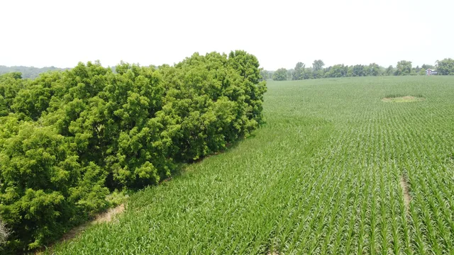 $799,900 | 20664 Allen Road, Manchester, MI 48158