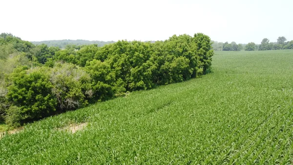 $649,000 | 20664 Allen Road, Manchester, MI 48158