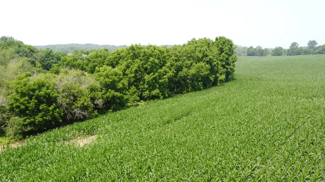 $799,900 | 20664 Allen Road, Manchester, MI 48158