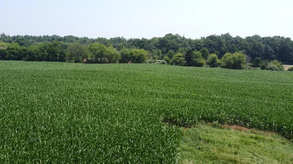 $649,000 | 20664 Allen Road, Manchester, MI 48158