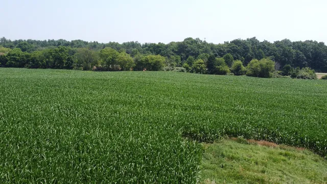 $799,900 | 20664 Allen Road, Manchester, MI 48158