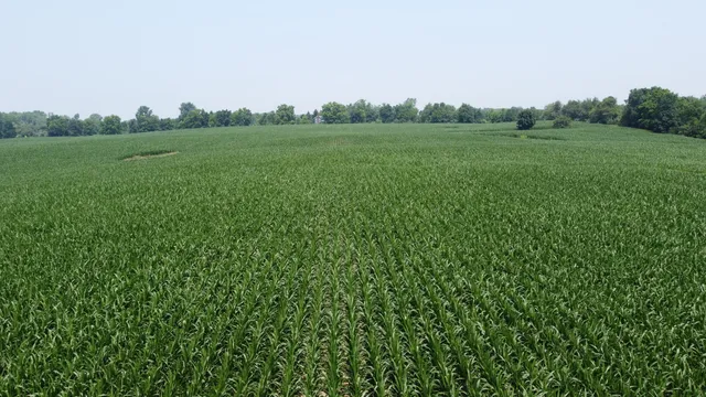 $799,900 | 20664 Allen Road, Manchester, MI 48158