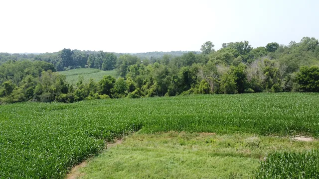 $799,900 | 20664 Allen Road, Manchester, MI 48158