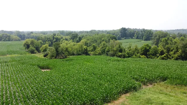 $799,900 | 20664 Allen Road, Manchester, MI 48158