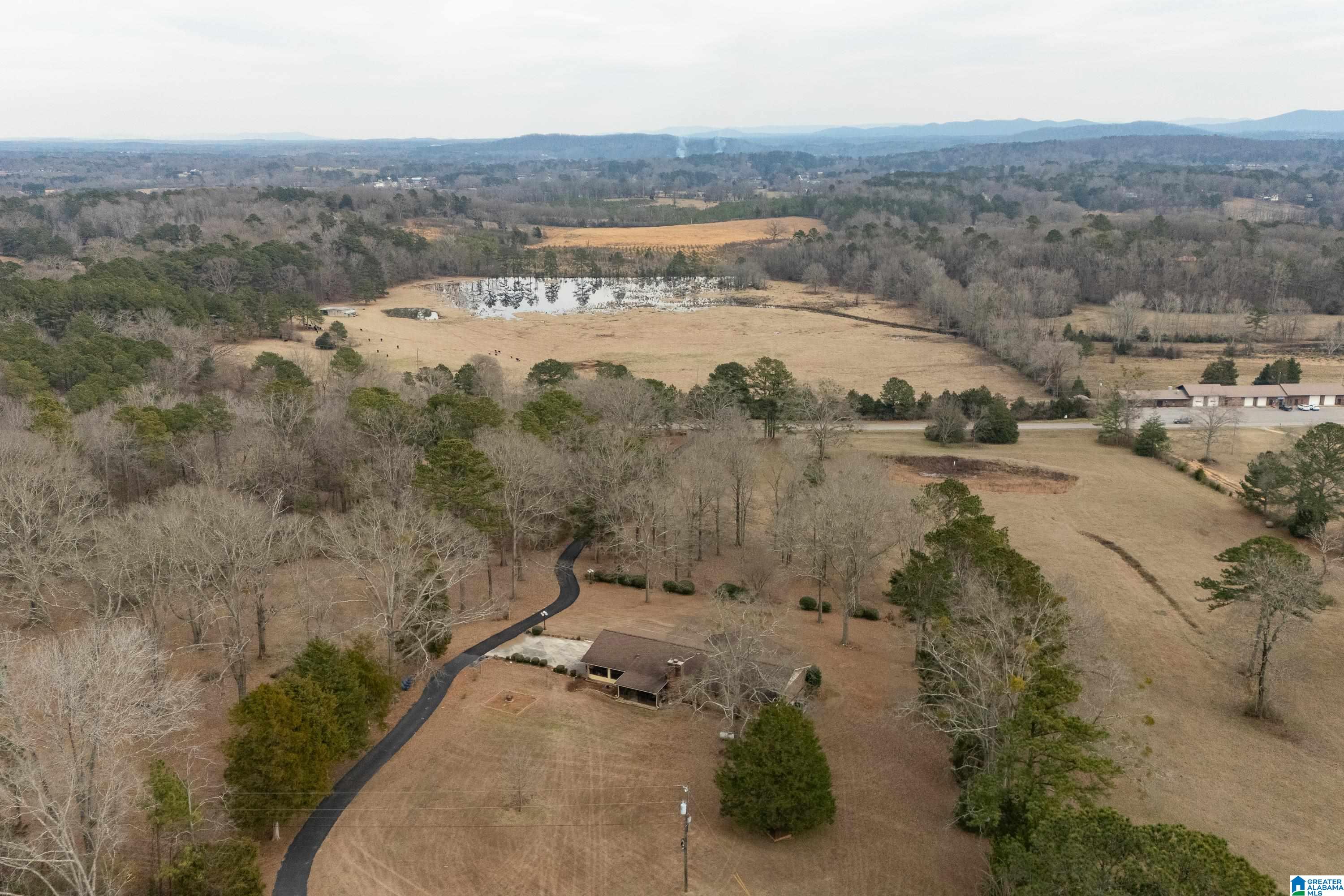 4175 Logan Martin Dam Road Cropwell, AL 35054 - Photo 45 of 47