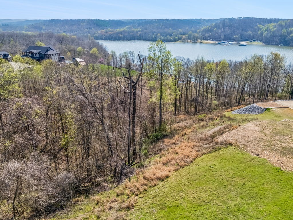 0 River Trace Road Dover, TN 37058 - Photo 5 of 19 a view of lake with mountain
