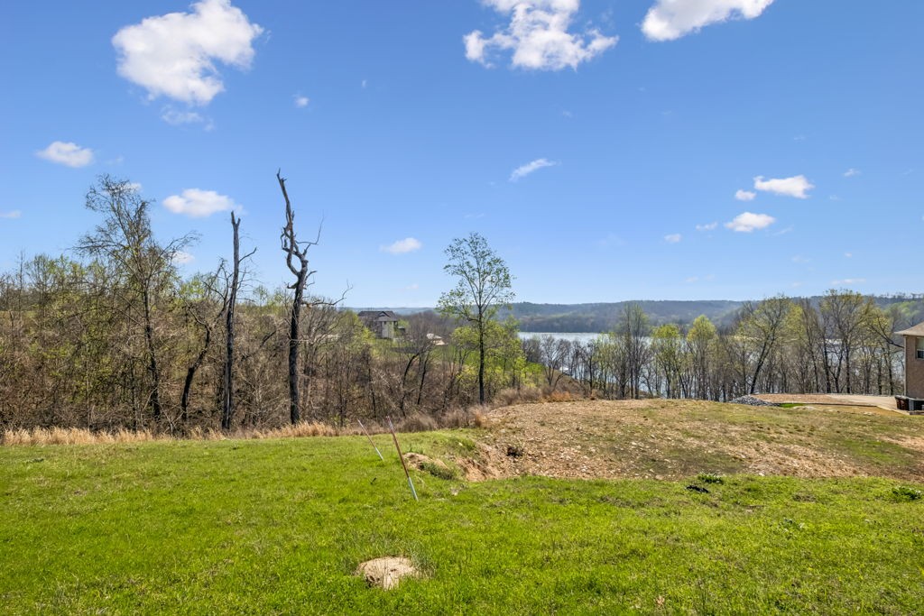 0 River Trace Road Dover, TN 37058 - Photo 6 of 19 a view of a yard with a tree