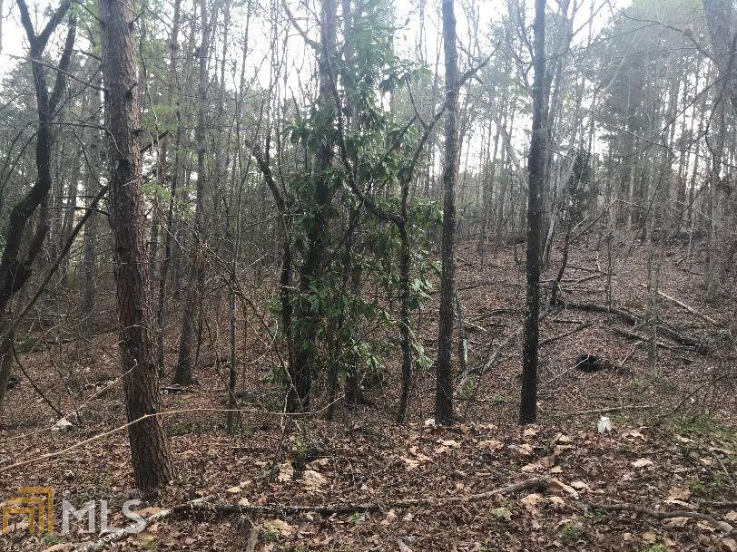 0 Loveless, Unit 42 Rome, GA 30165 - Photo 1 of 1