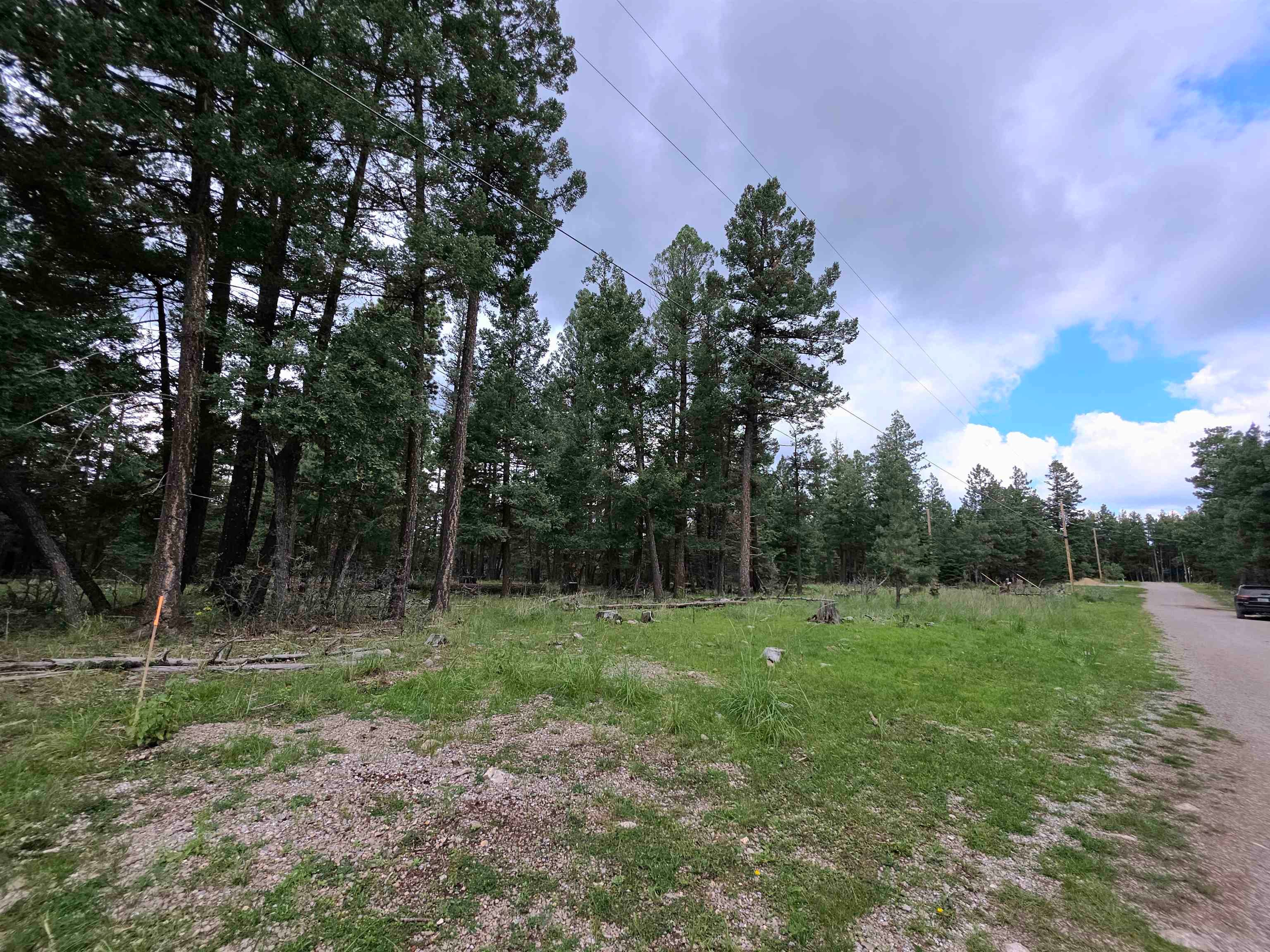 Lot 58 Big Dipper Road Mayhill, NM 88339 - Photo 41 of 50 Gallery Image 41