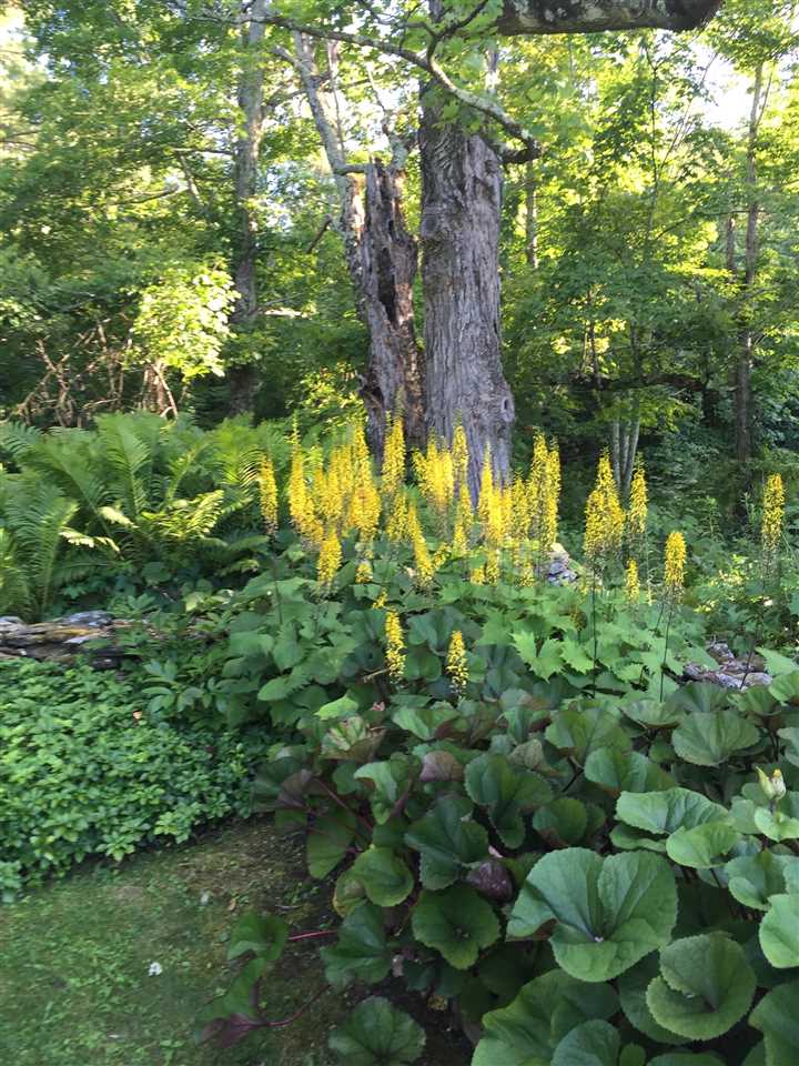 1312 Herrick Brook Road Pawlet, VT 05761 - Photo 37 of 40 Gallery Image 37