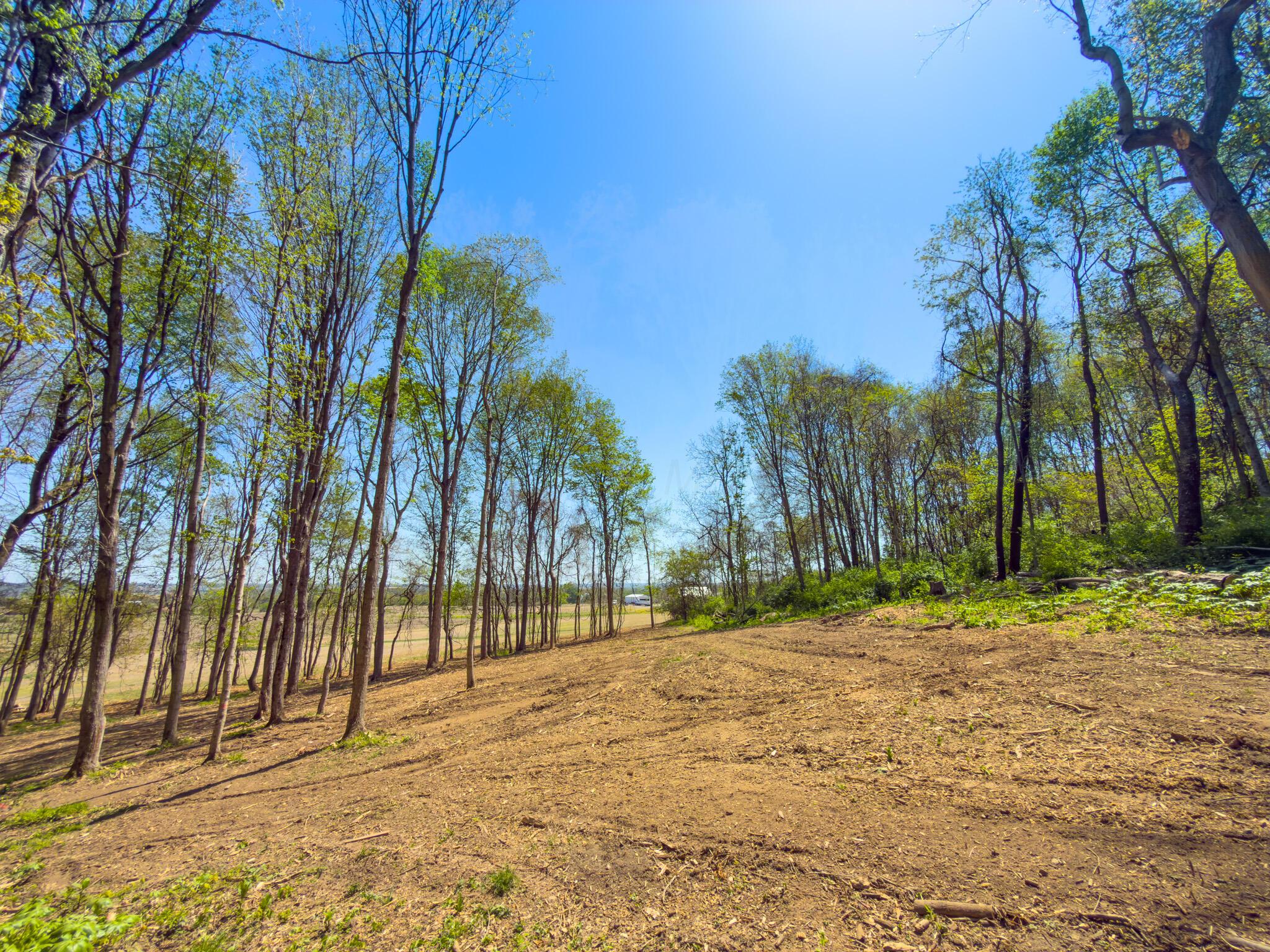 9874 Cincinnati-Zanesville Road Southwest Amanda, OH 43102 - Photo 4 of 50 cinci-zane rd sw-4