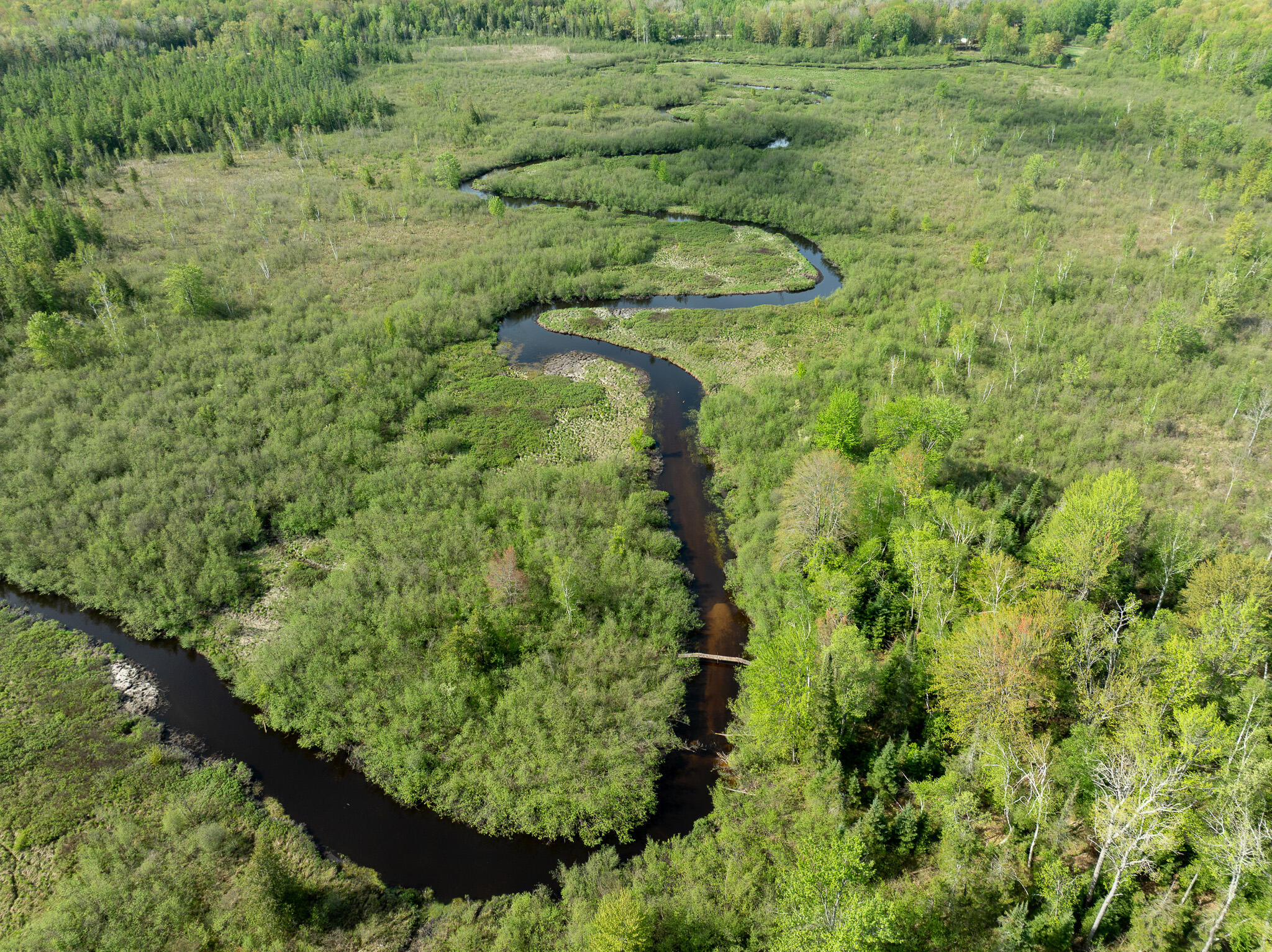 3 3 Mile Road Sears, MI 49679 - Photo 29 of 62 DJI_0342
