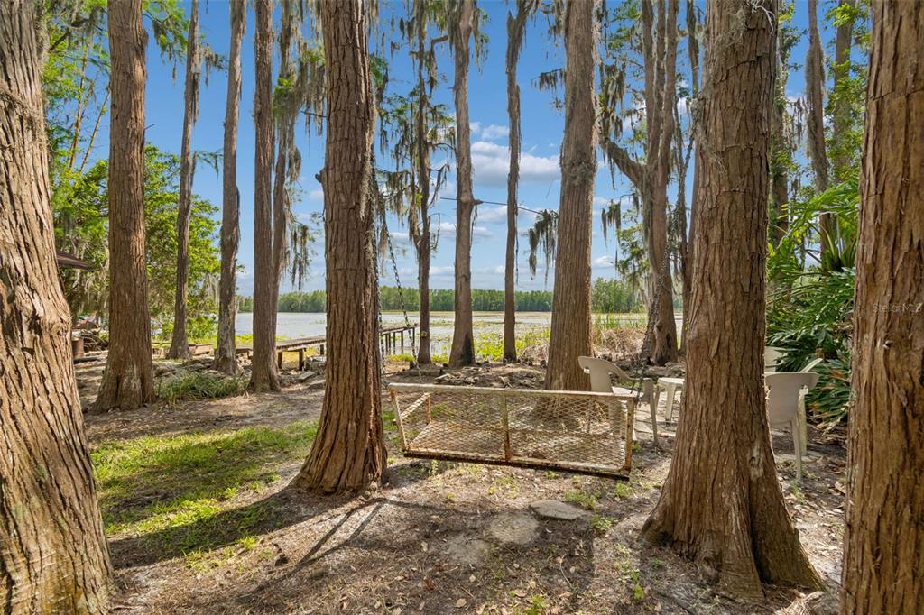 4743 School Road Land O' Lakes, FL 34638 - Photo 45 of 54 Gallery Image 45