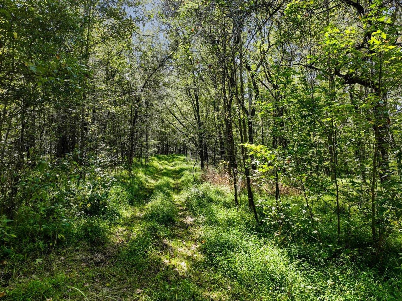 667 Emerson Cook Road Pittsboro, NC 27312 - Photo 6 of 24 Photo 6
