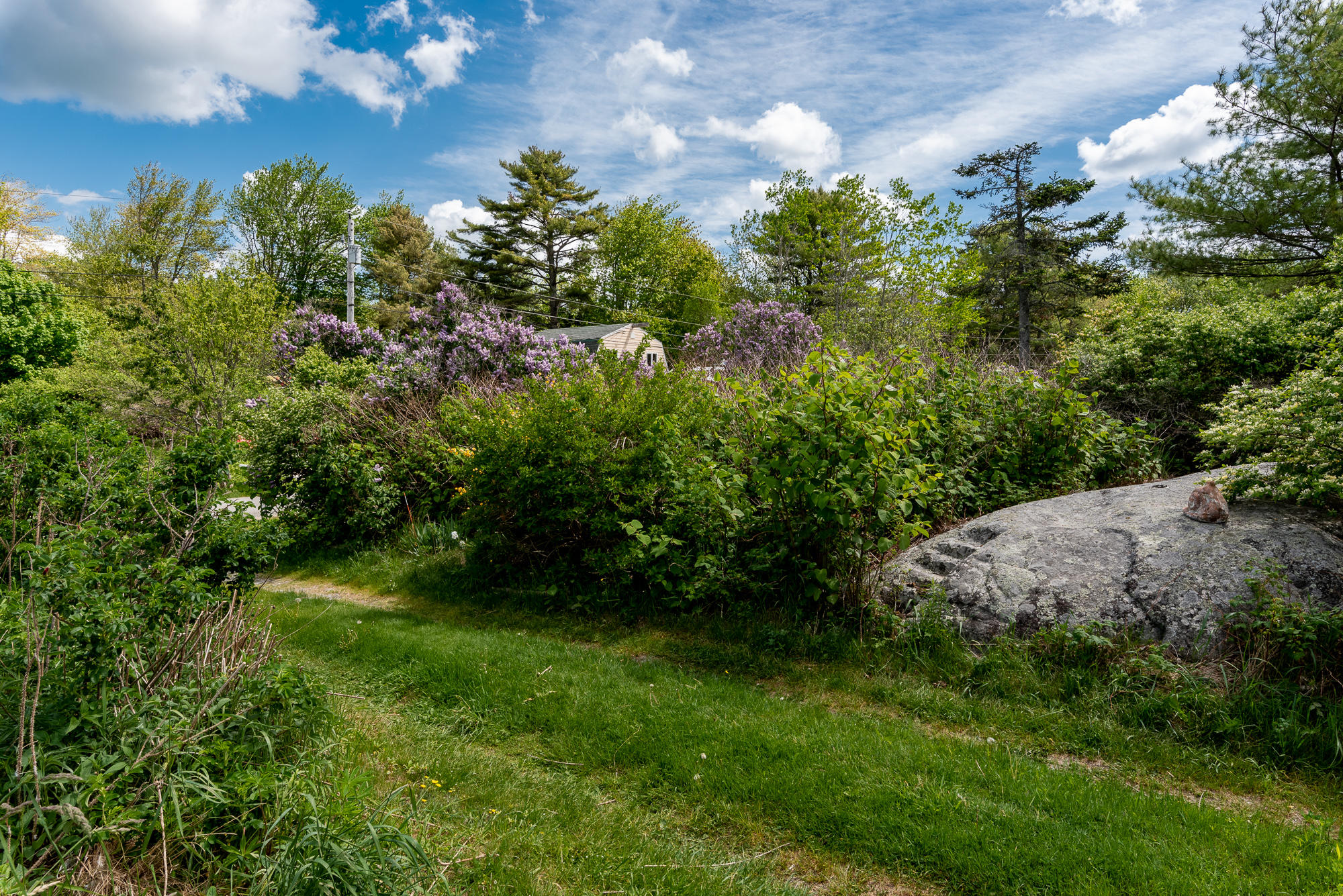 9 2nd Street Spruce Head, ME 04859 - Photo 4 of 23 9 Second Street - CarlyZaniboni-22