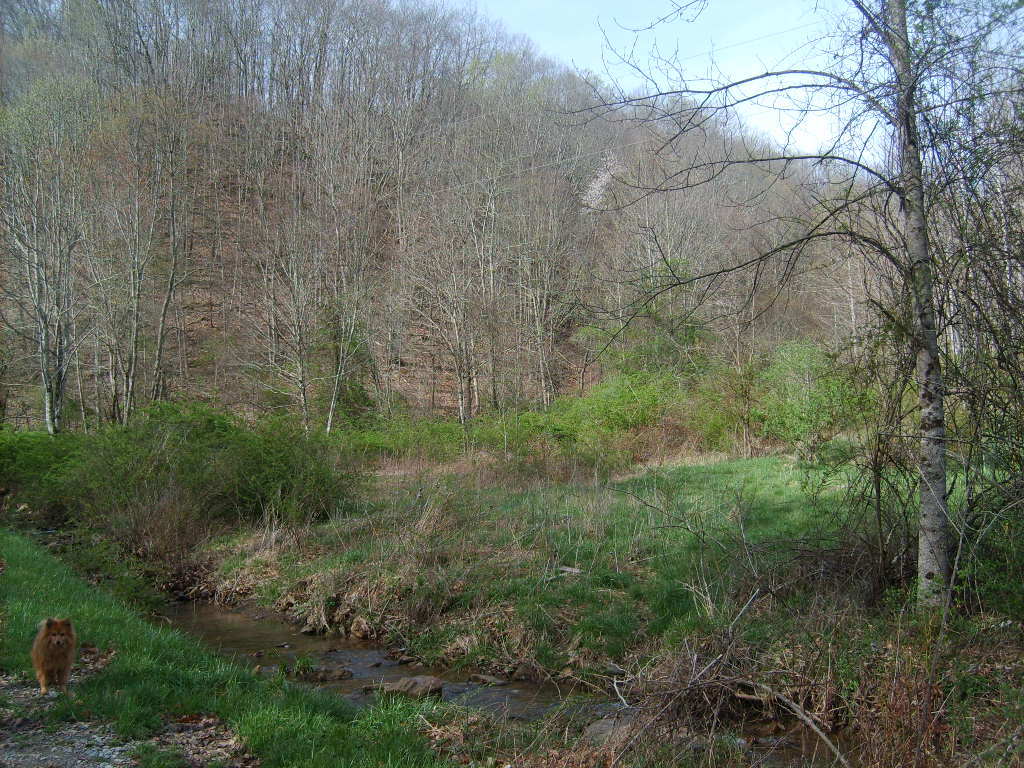 Buckeye Road Renick, WV 24966 - Photo 4 of 16 Gallery Image 4