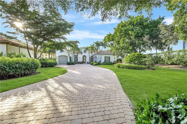 a view of a yard with plants and trees