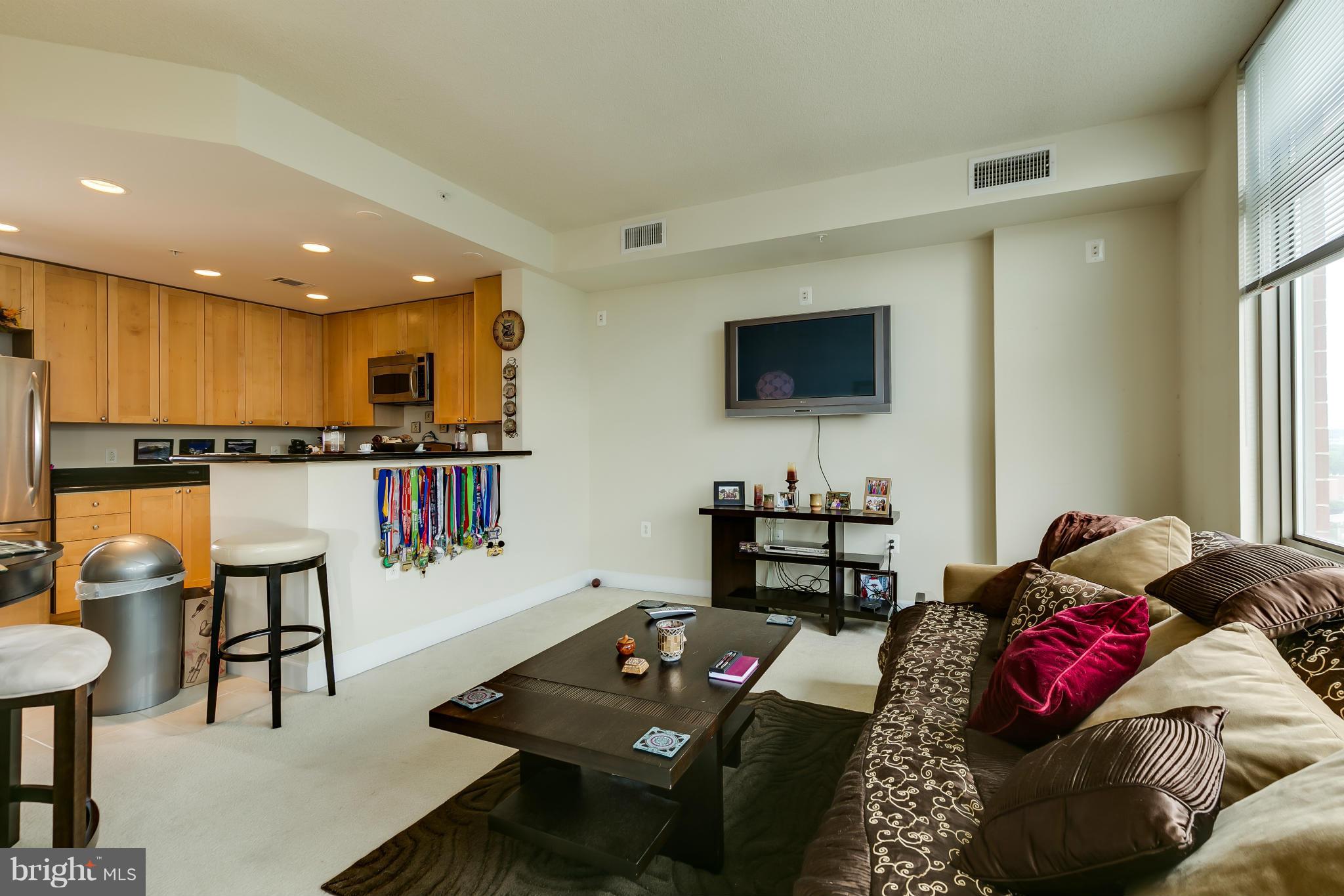3600 South Glebe Road, Unit 912W Arlington, VA 22202 - Photo 11 of 29 Living Room