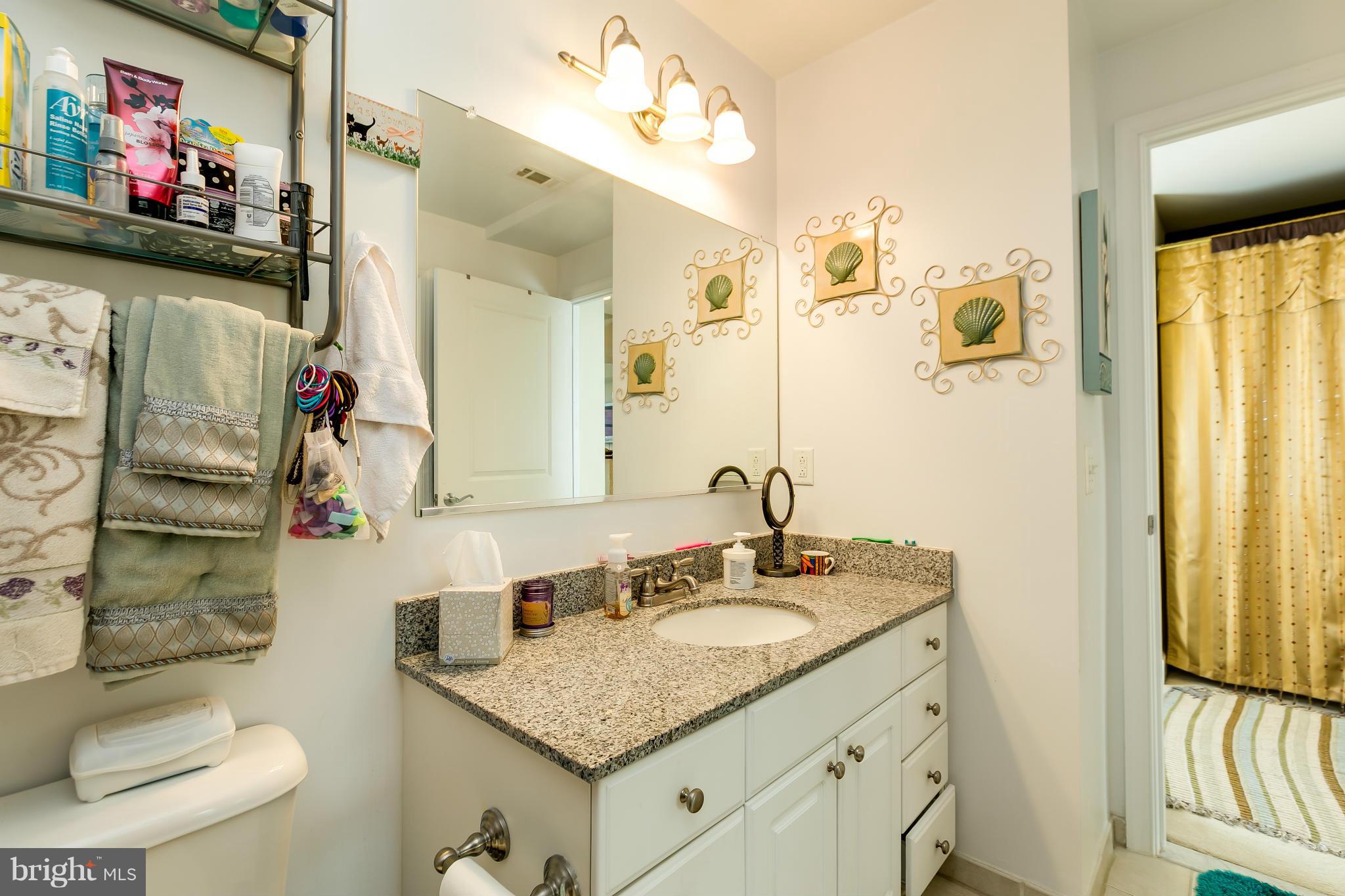 3600 South Glebe Road, Unit 912W Arlington, VA 22202 - Photo 24 of 29 Bath