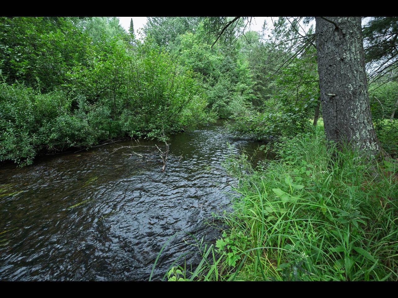 10297 Rocky Run Road Harshaw, WI 54529 - Photo 14 of 21 Gallery Image 14