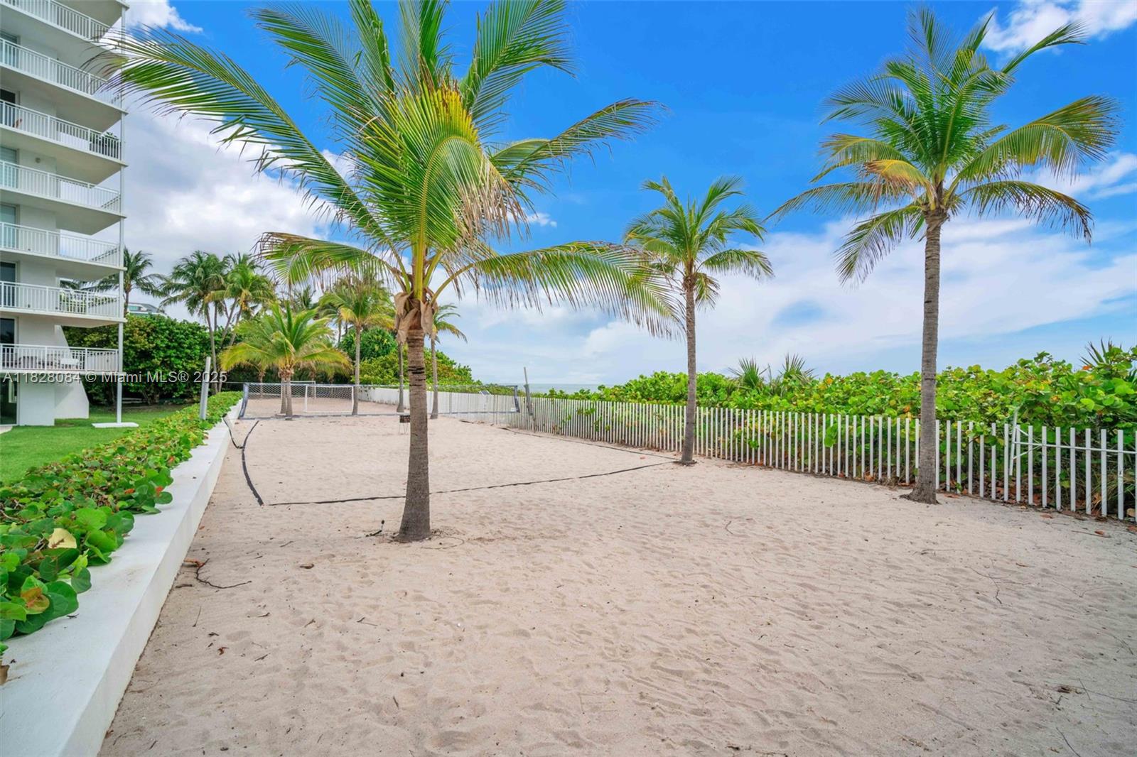 611 Ocean Drive, Unit 3E Key Biscayne, FL 33149 - Photo 26 of 30 a view of a street with a palm tree