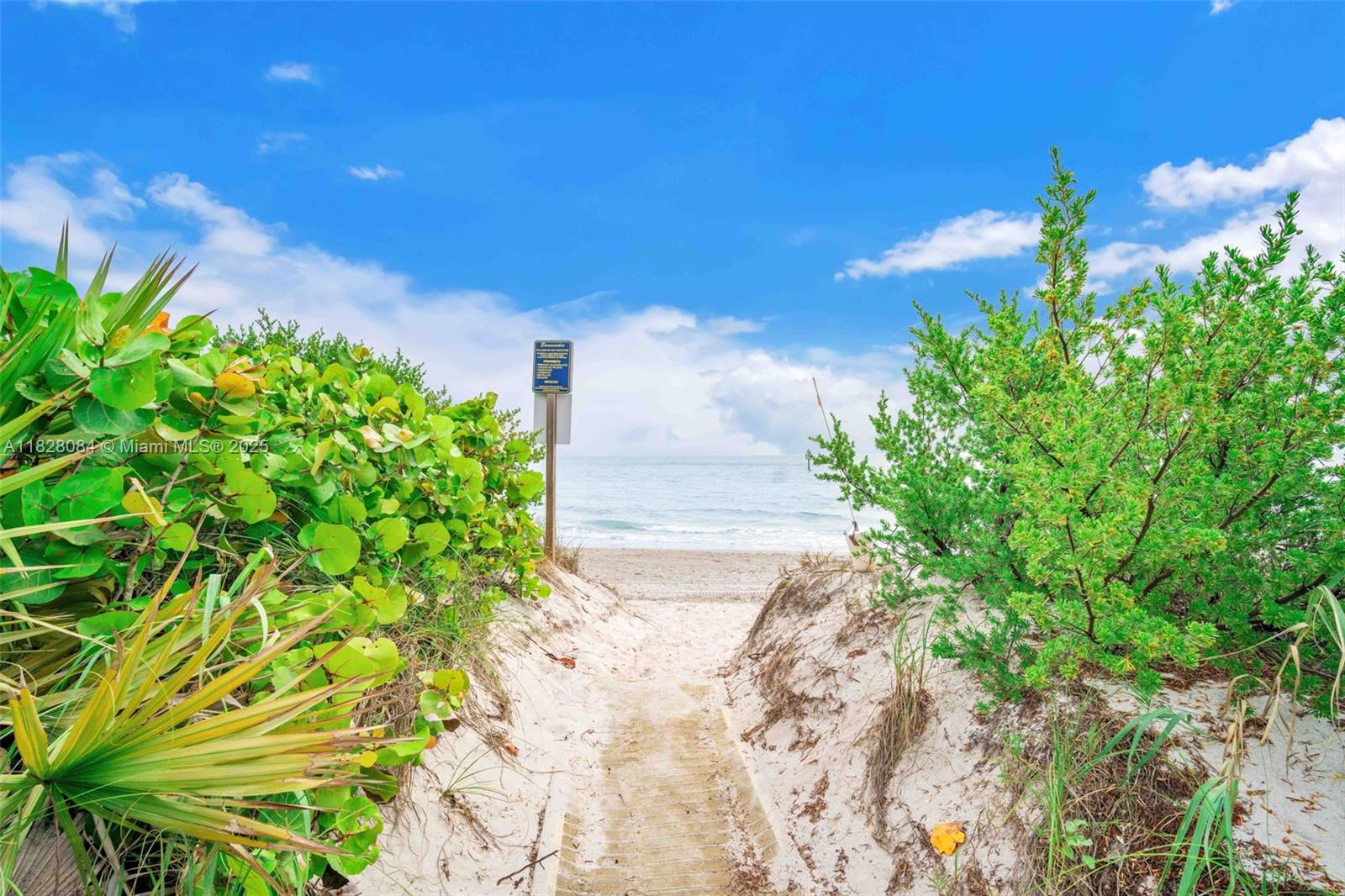 611 Ocean Drive, Unit 3E Key Biscayne, FL 33149 - Photo 27 of 30 a view of a yard with plants