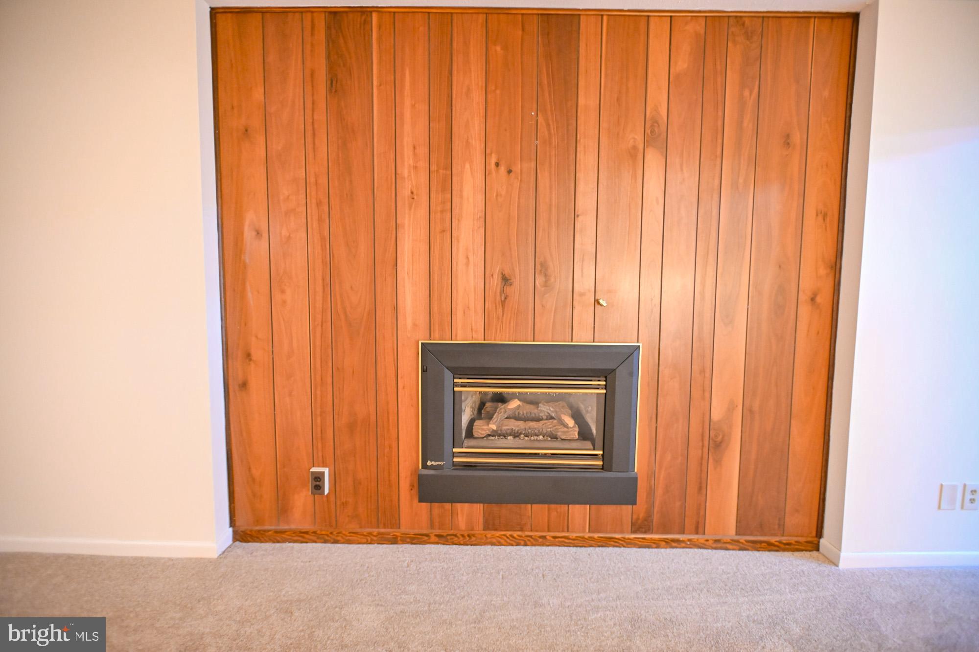 2404 Laurel Bush Road Abingdon, MD 21009 - Photo 69 of 82 Gas fireplace in Lower Level