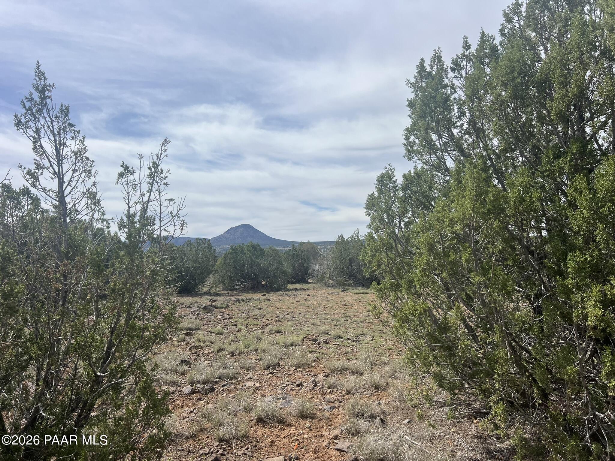 51 West Boiling Pot Road Ash Fork, AZ 86320 - Photo 2 of 9 IMG_9827