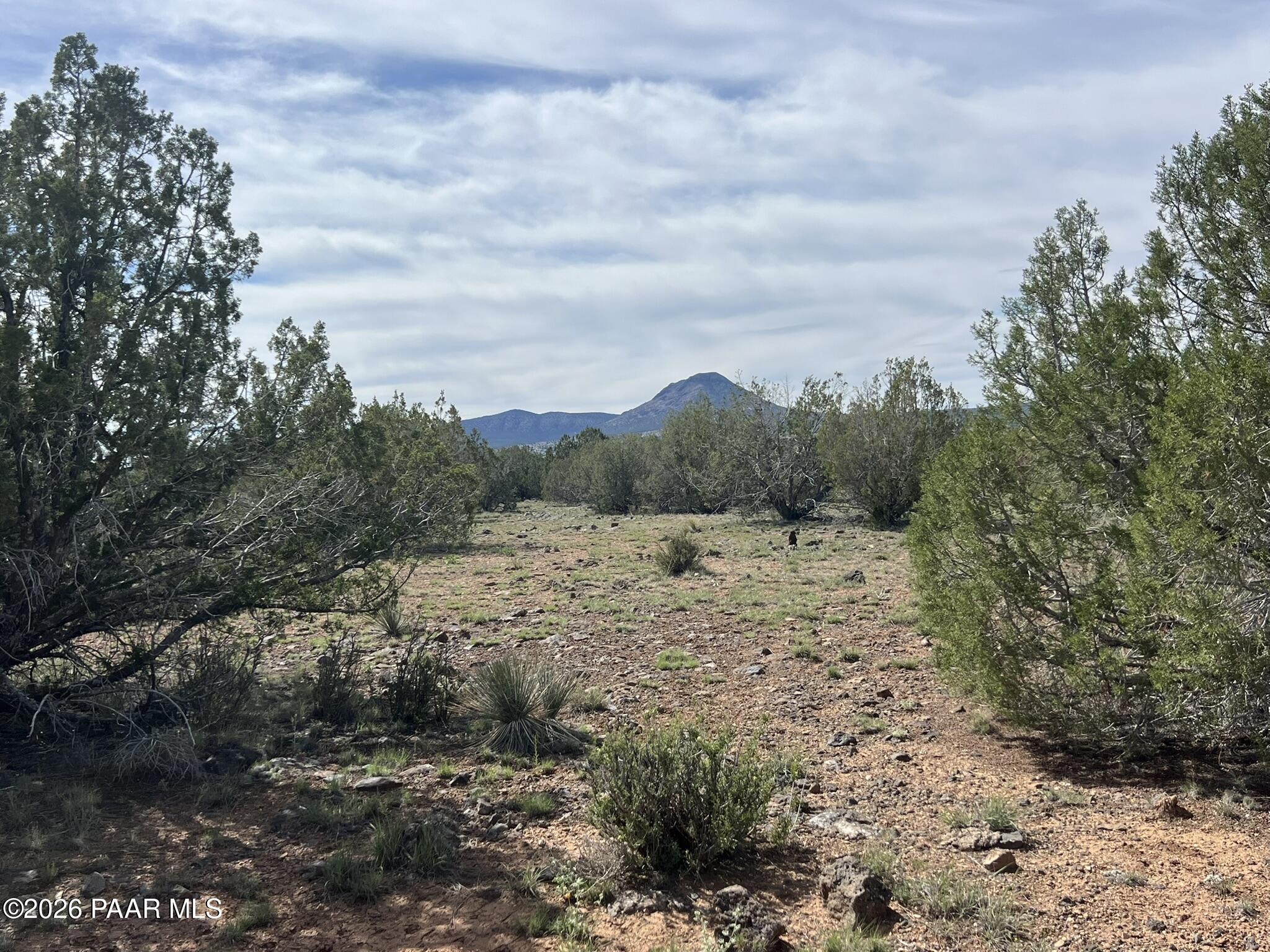 51 West Boiling Pot Road Ash Fork, AZ 86320 - Photo 5 of 9 IMG_9829
