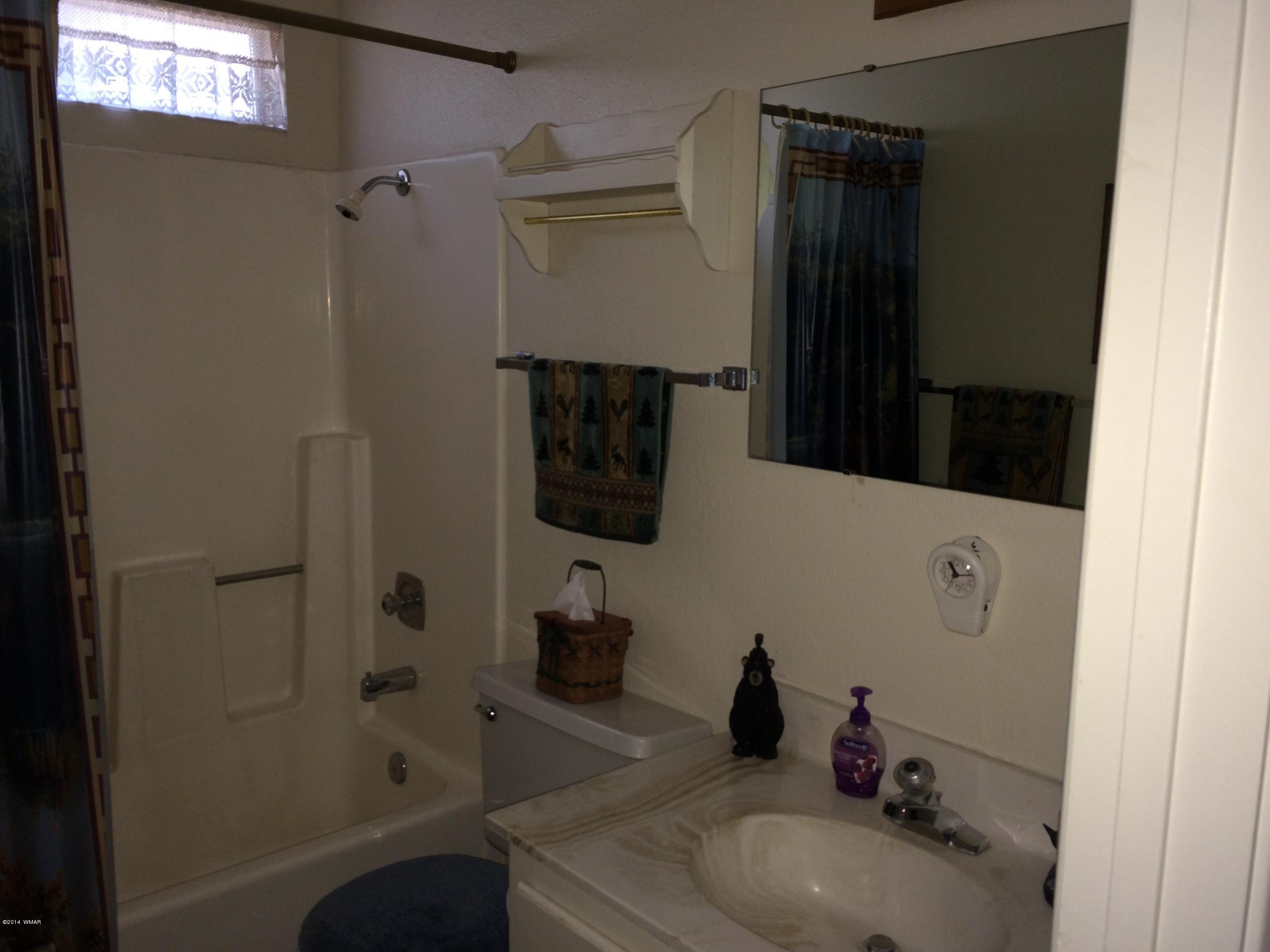 3869 Turkey Track Road Pinetop, AZ 85935 - Photo 3 of 5 Gallery Image 3