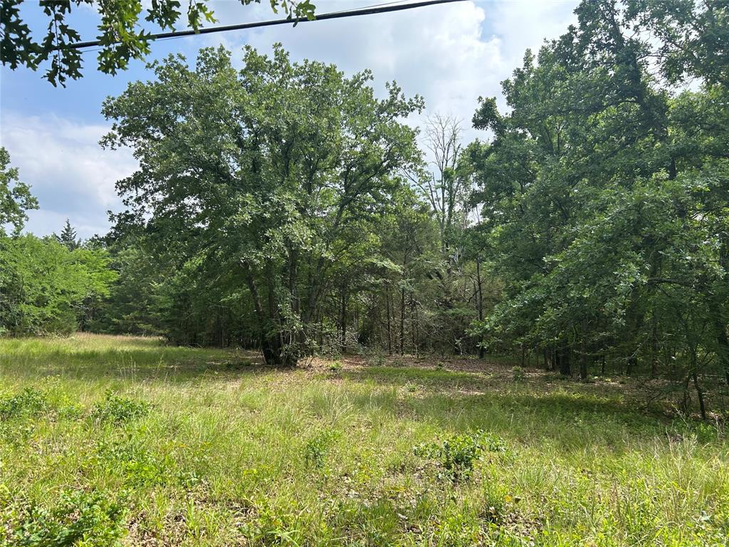 Lot 2 North Shore Road Quinlan, TX 75474 - Photo 6 of 8 Gallery Image 6