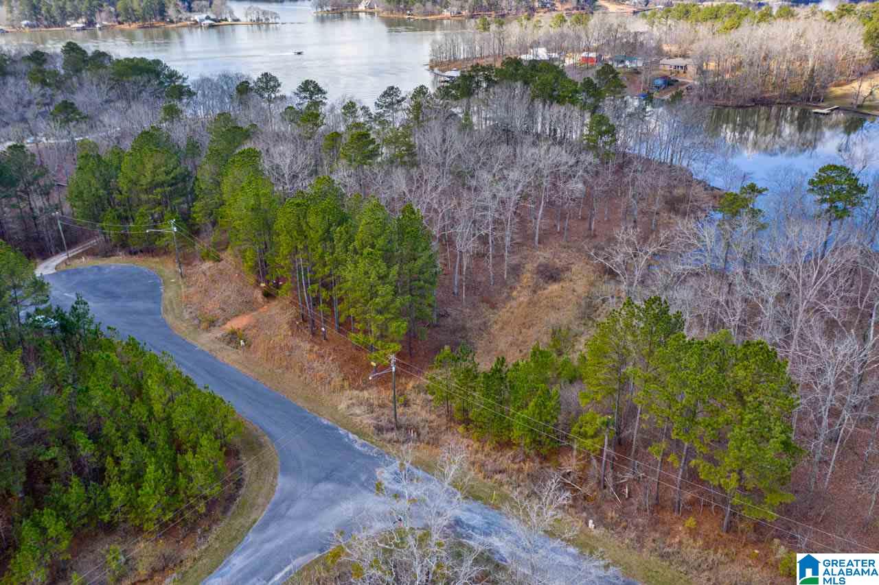 Castaway Road Sylacauga, AL 35151 - Photo 4 of 28