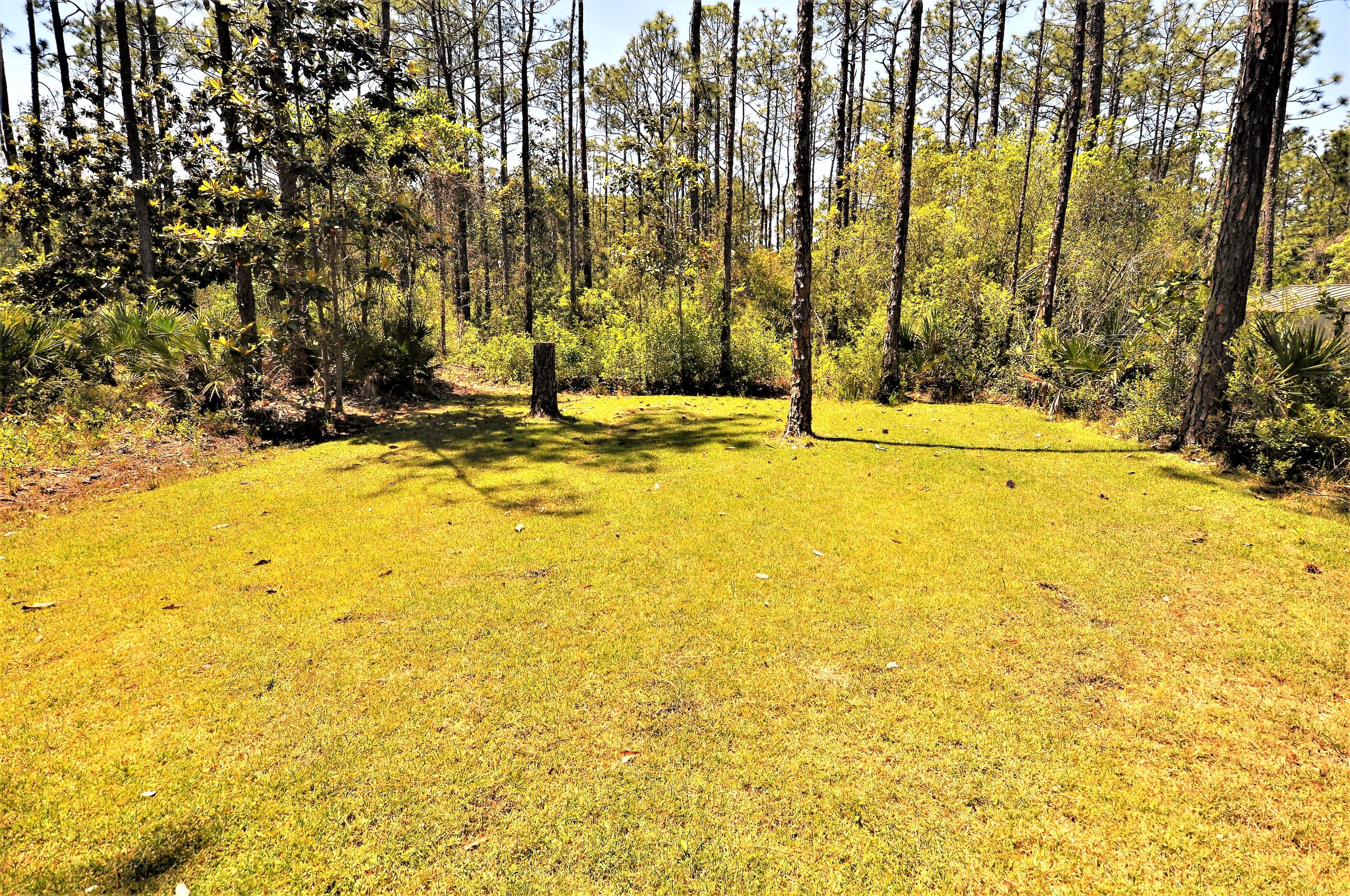 751 Indian Woman Road Santa Rosa Beach, FL 32459 - Photo 3 of 11