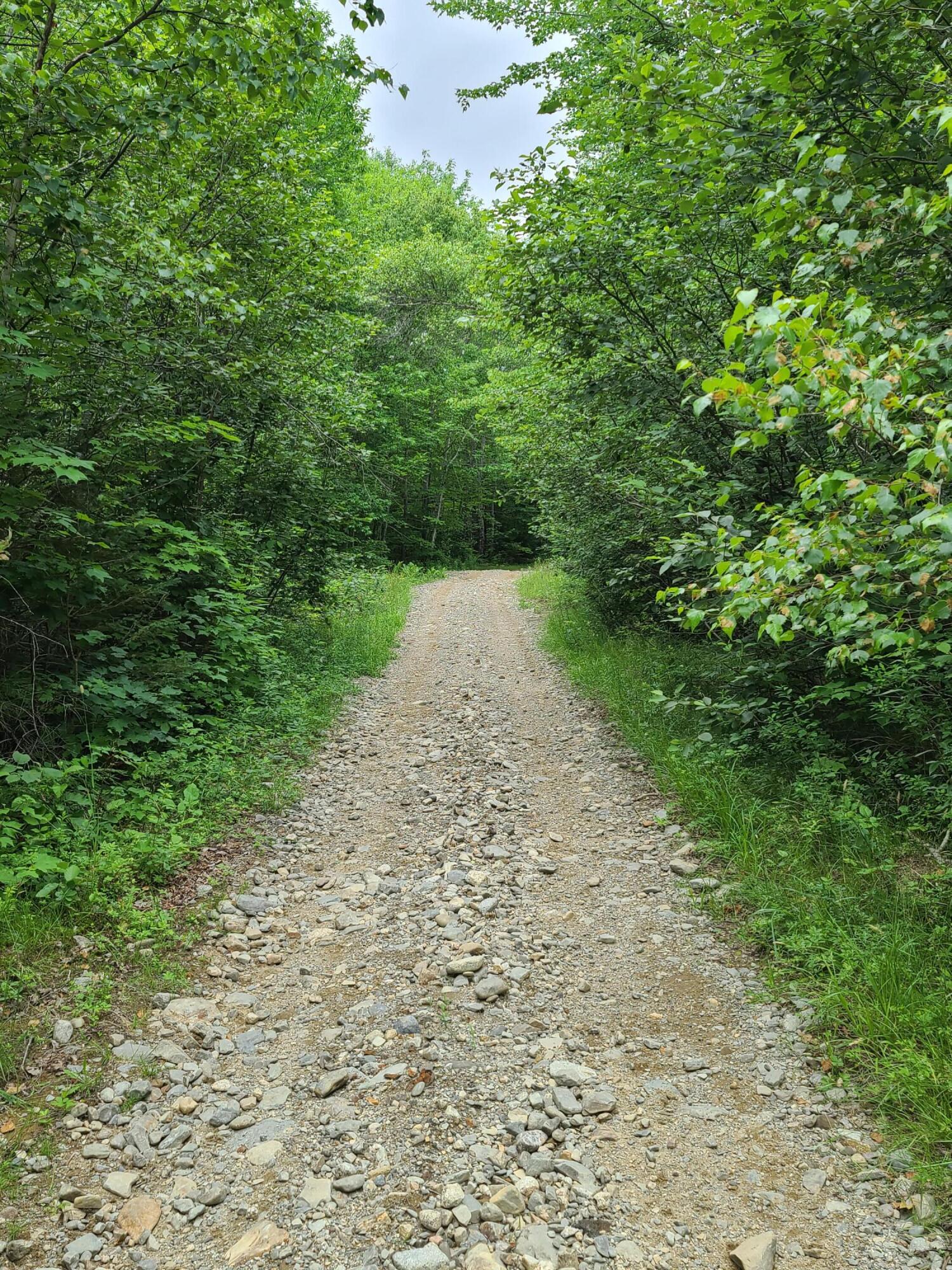 565 Cooper Road Alexander, ME 04694 - Photo 56 of 56 2021-07-08 14.27.42