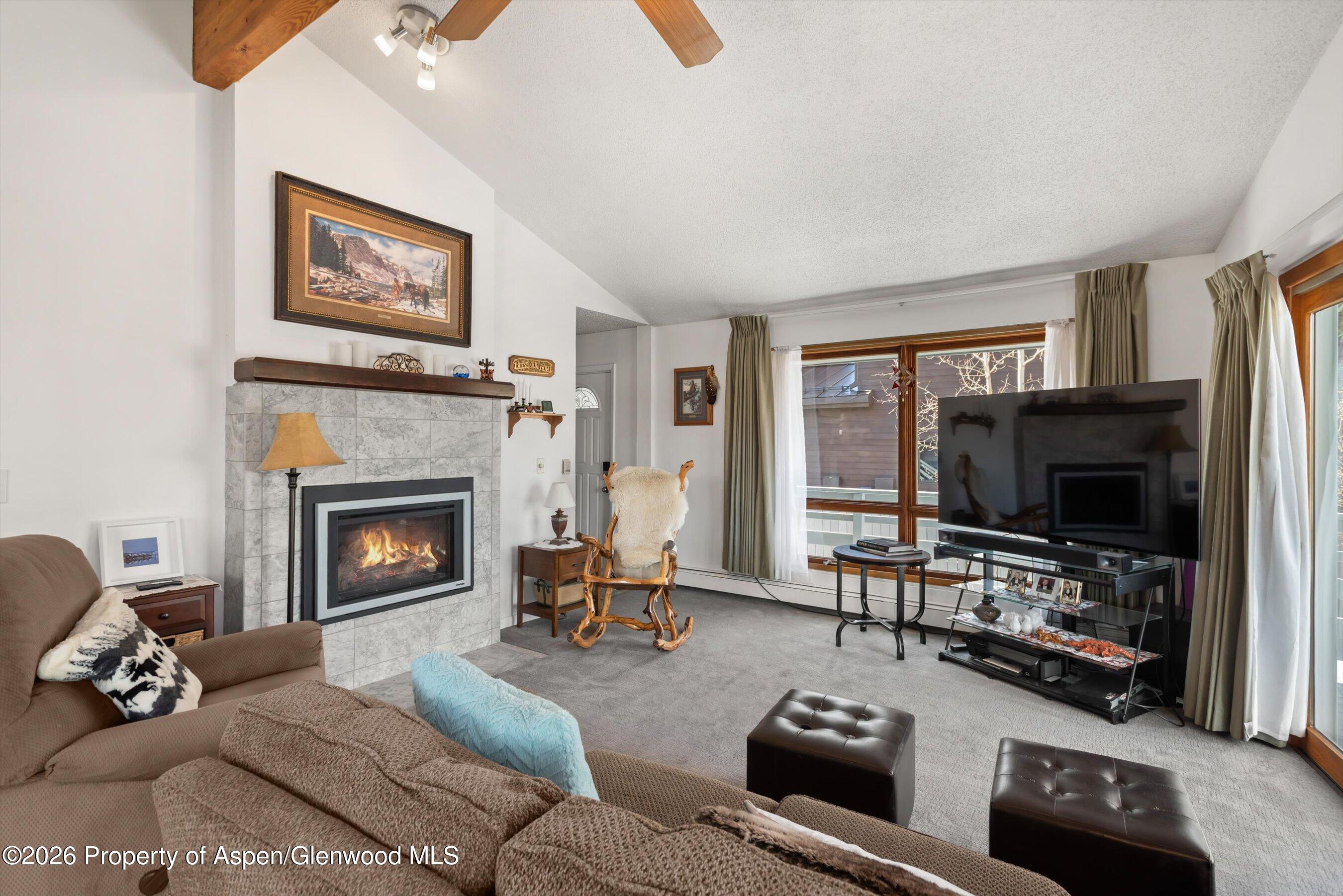 53 Spruce Street, Unit S 1 AND 2 Aspen, CO 81611 - Photo 7 of 67 06-06-534SpruceSt_250429006