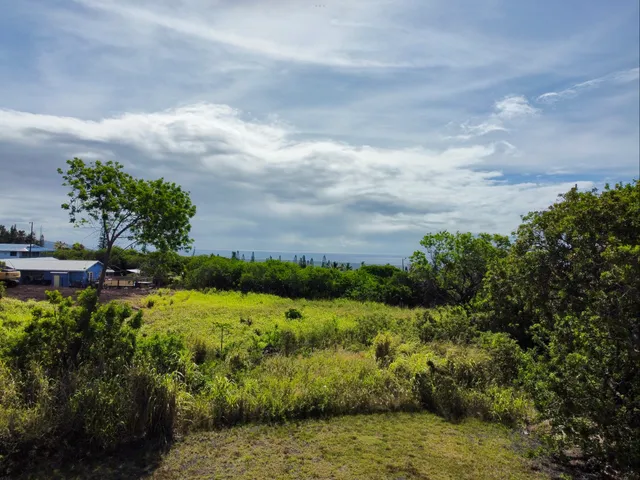 a view of a lake with beach and large trees